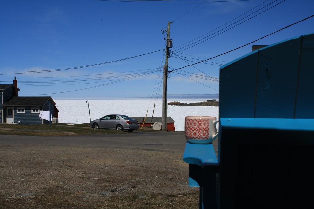 Seakissed Cottage Bonavista Exterior photo